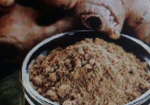 Health and Lifestyle