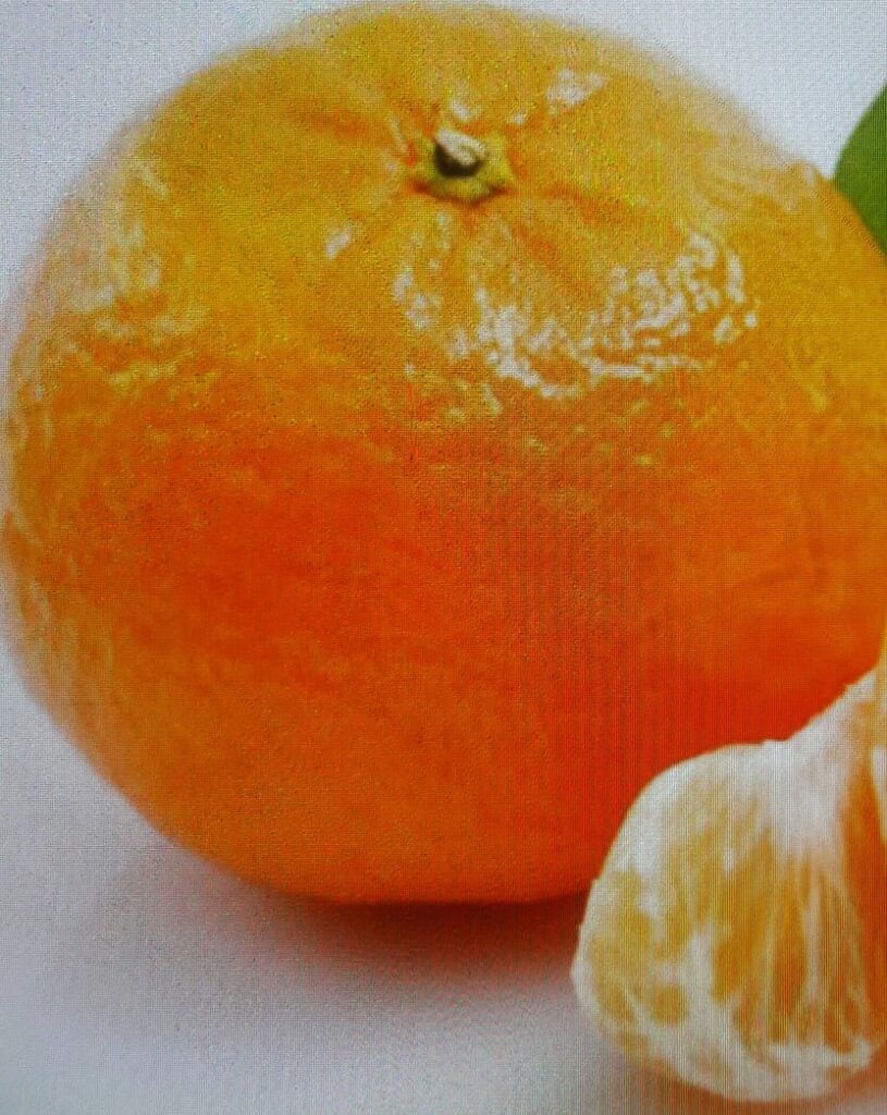 ORANGE..