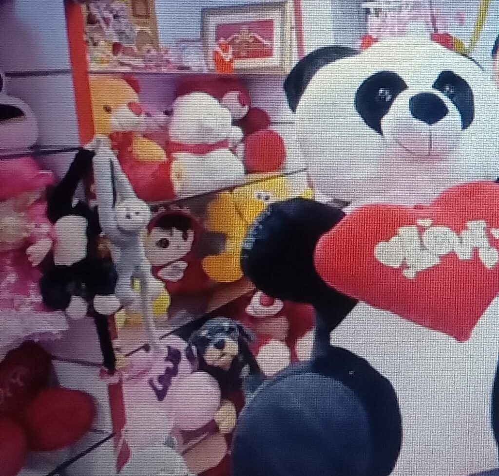 वेंलेनटाइन वीकः भावनात्मक तनाव कम करते है, टैडी Taddy Day.....