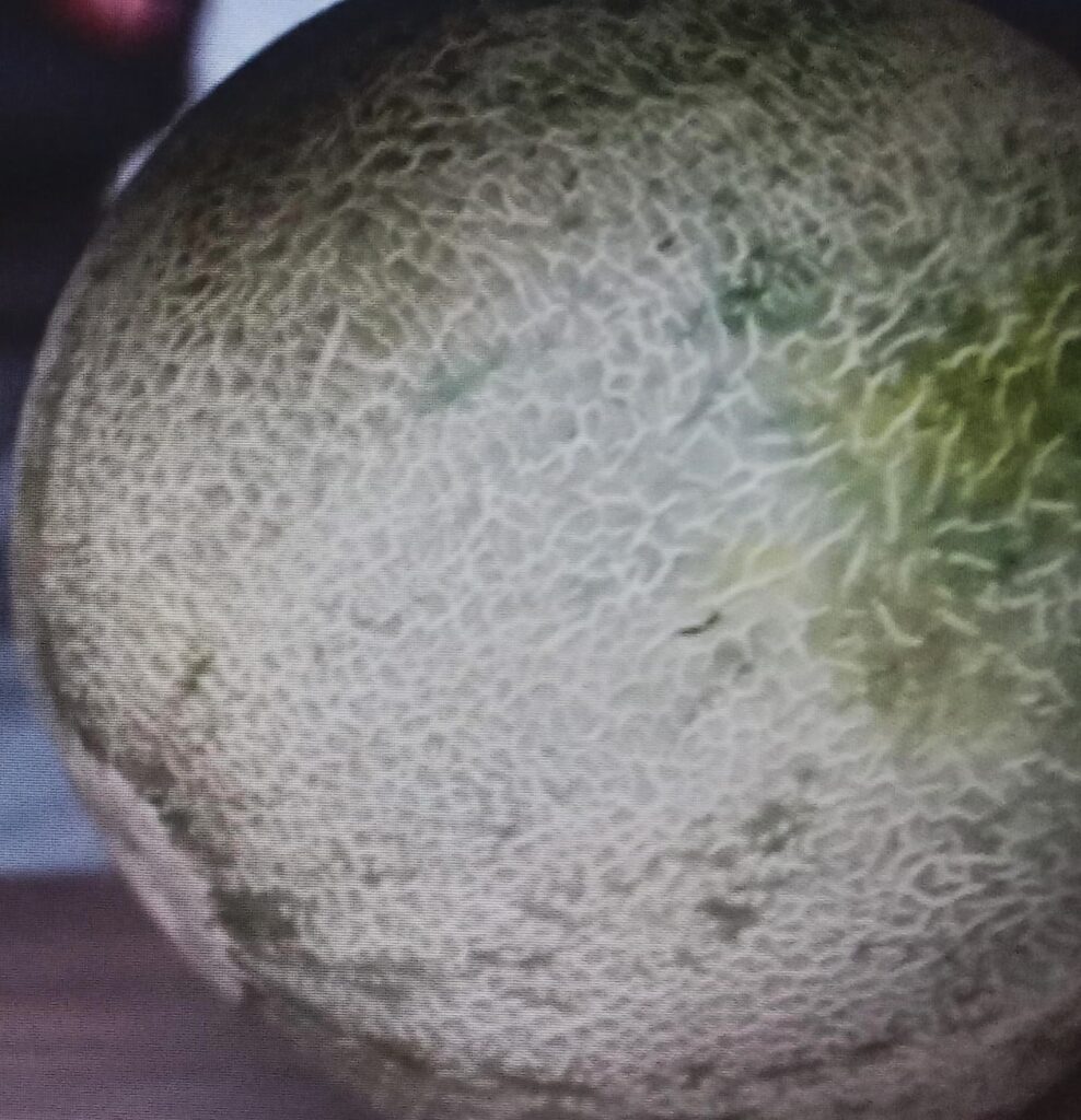 Watermelon and melons keep the body hydrated