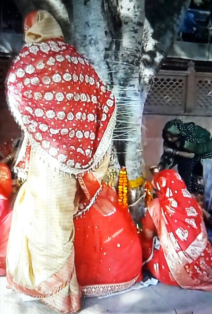 Vat Savitri Vrat: Dressed up, married women tied raw thread on the banyan tree.