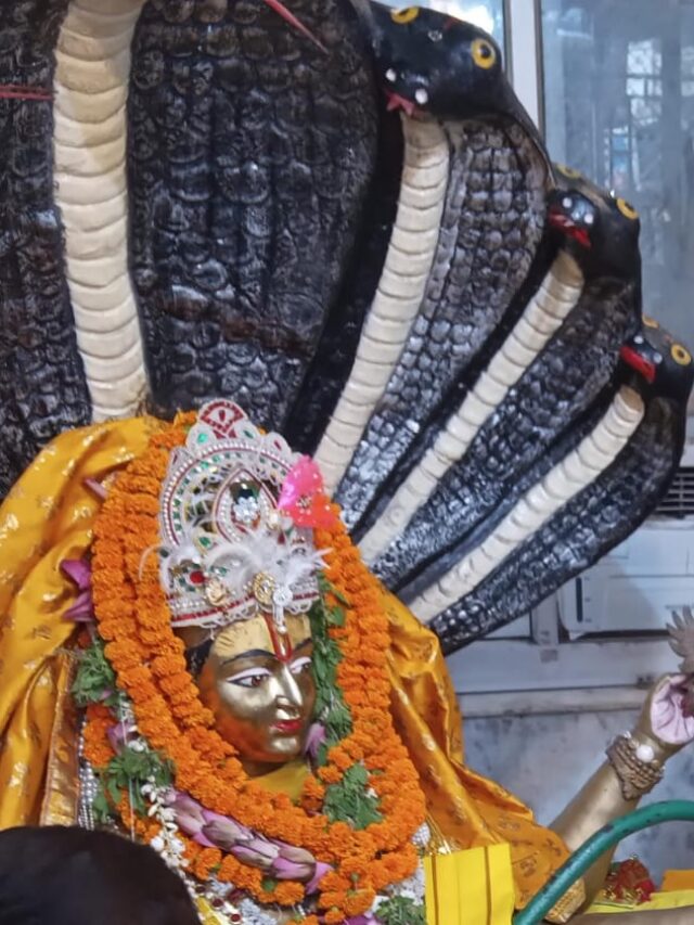 श्रीहरि के दशावतार