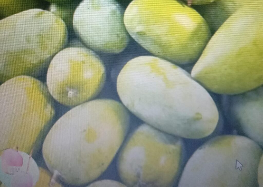 Alphonso vs. Kesar Mango: If Alphonso is the king of mangoes, then Kesar is the queen.